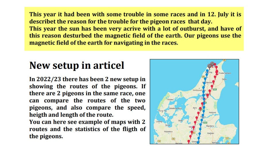 Does the sun confuse pigeons on their way home?
