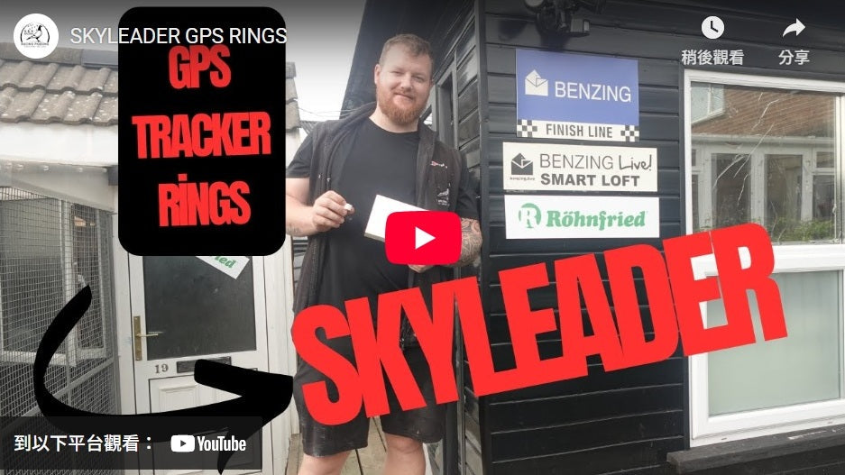 Unboxing with S&S Brown Racing Pigeons!